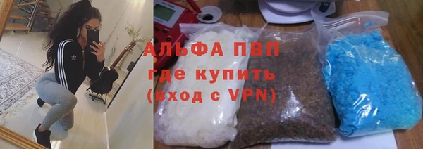 ГАЛЛЮЦИНОГЕННЫЕ ГРИБЫ Богданович